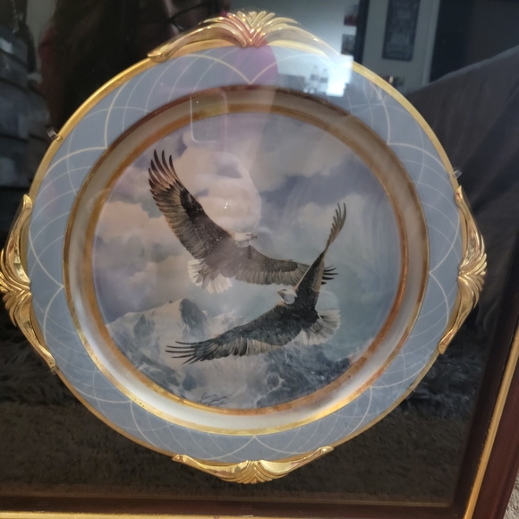 Mario Fernandez plate ( make offer) - Picture 6 of 7